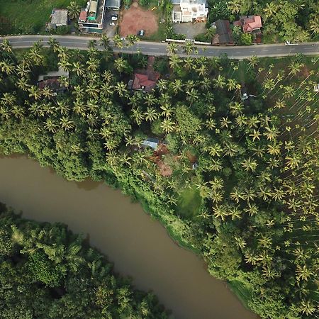 مانانثافادي Paddyfield Inn المظهر الخارجي الصورة