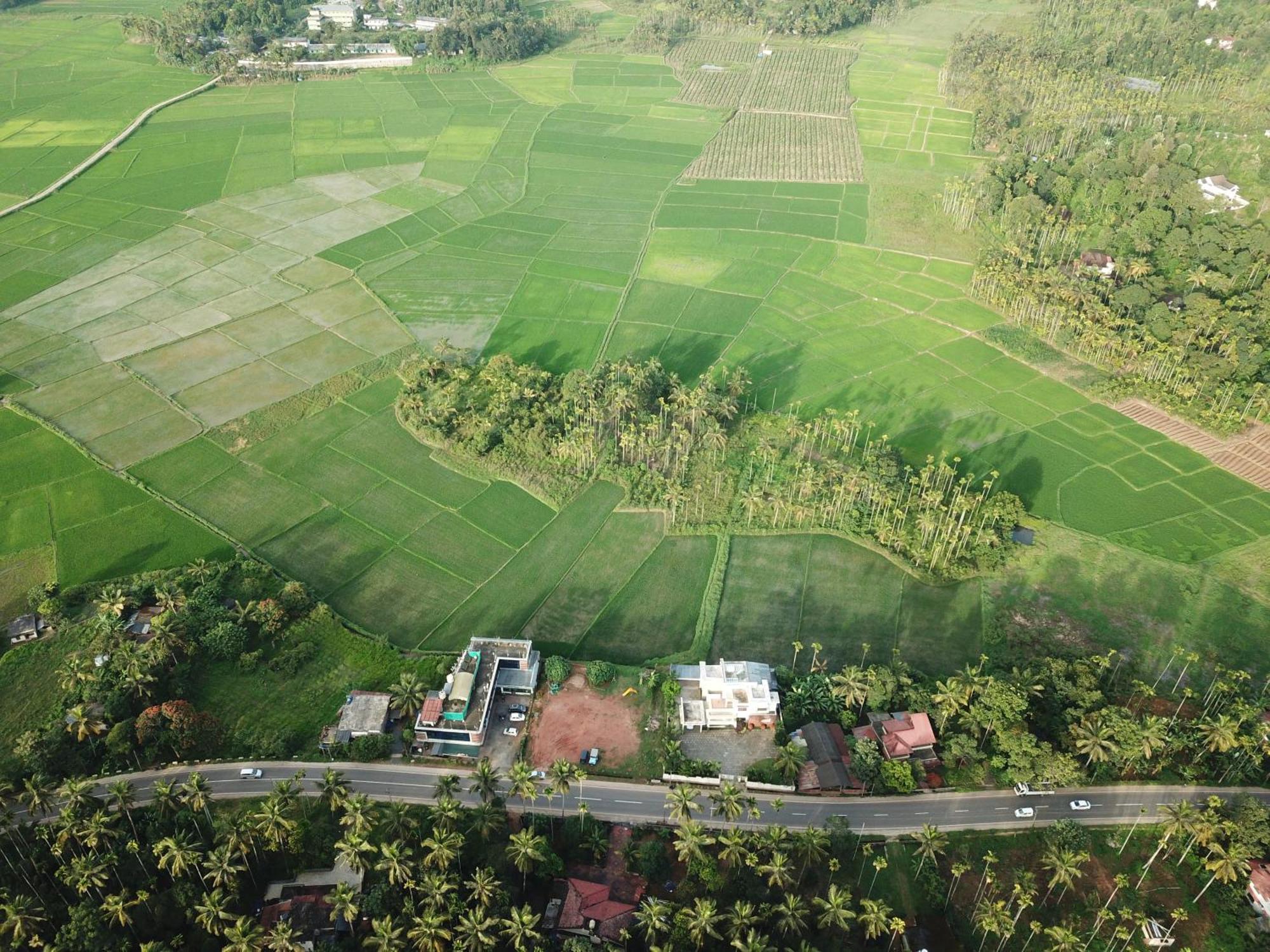 مانانثافادي Paddyfield Inn المظهر الخارجي الصورة
