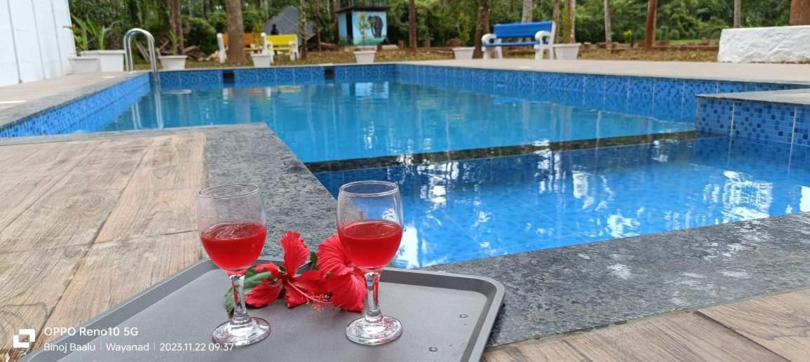 مانانثافادي Paddyfield Inn المظهر الخارجي الصورة