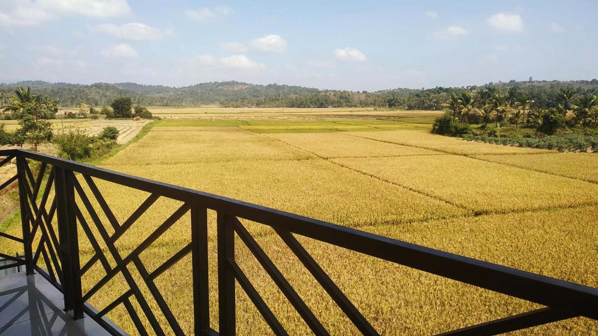 مانانثافادي Paddyfield Inn المظهر الخارجي الصورة