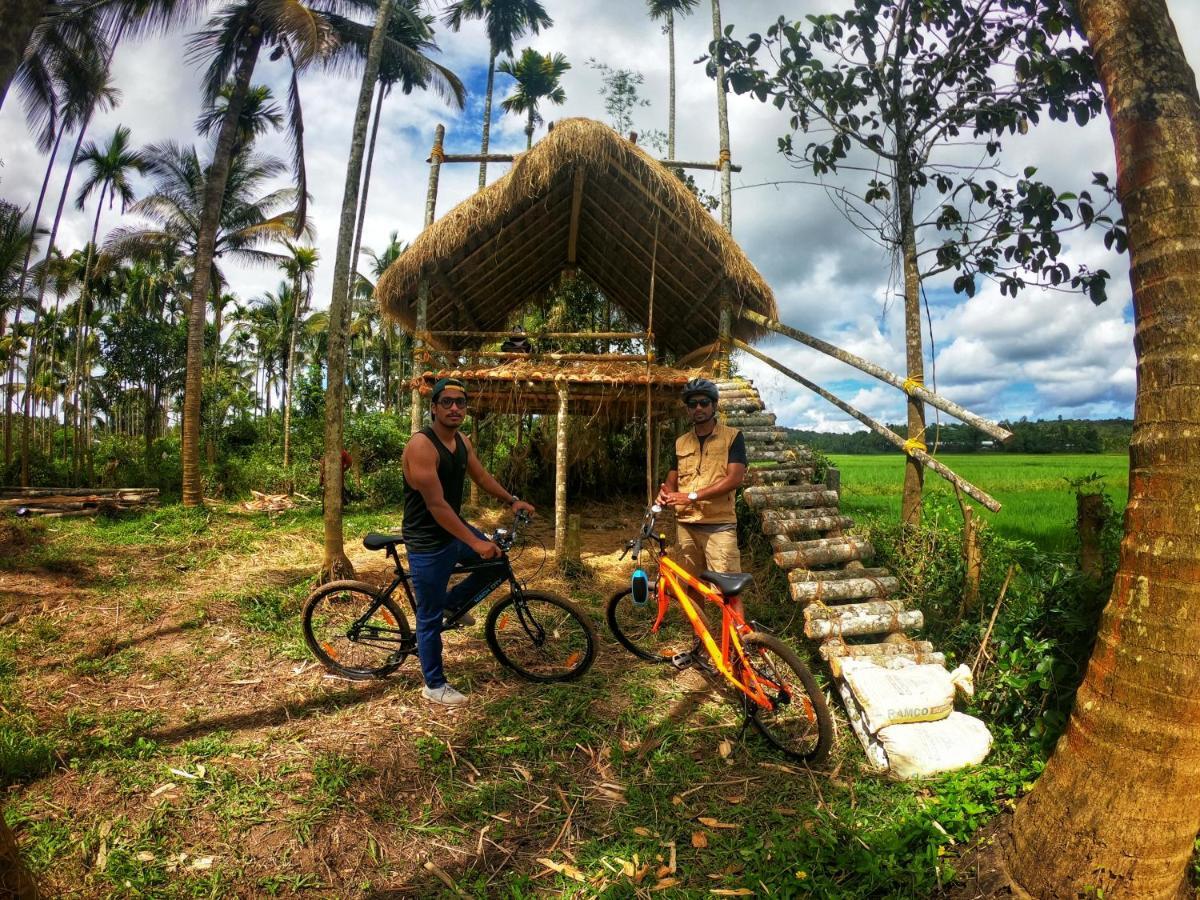 مانانثافادي Paddyfield Inn المظهر الخارجي الصورة